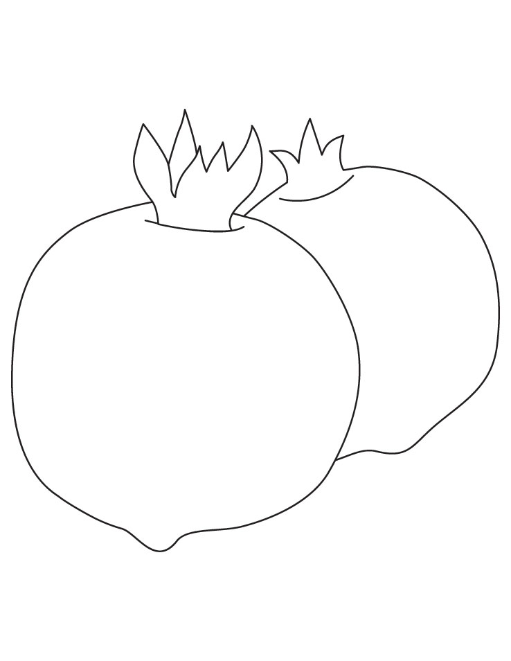 Two red pomegranate coloring pages