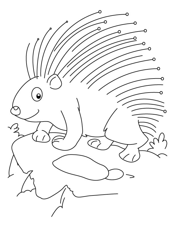 Threatened porcupine coloring pages