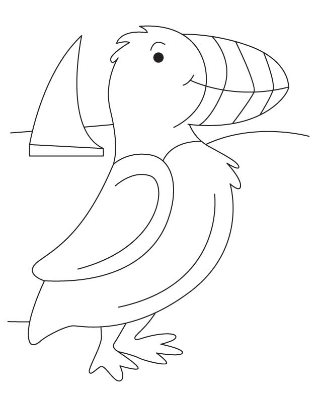 Puffin on seashore coloring page