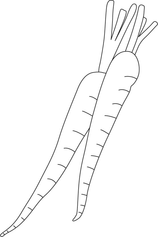 Purple carrot coloring page