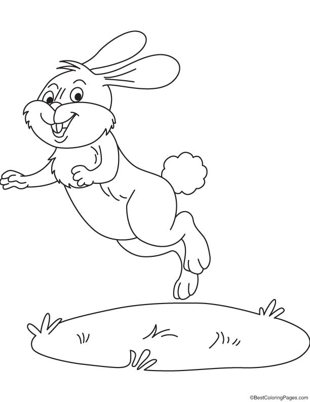 Rabbit hopping coloring page