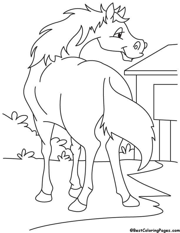 Horse ready to running coloring page