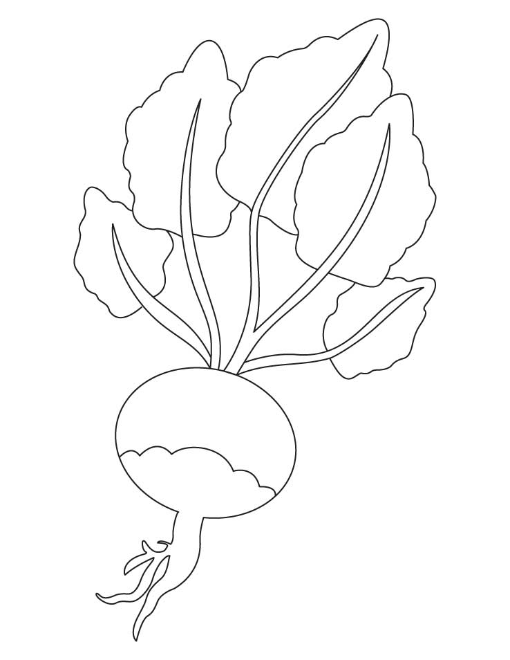 Red turnip coloring page