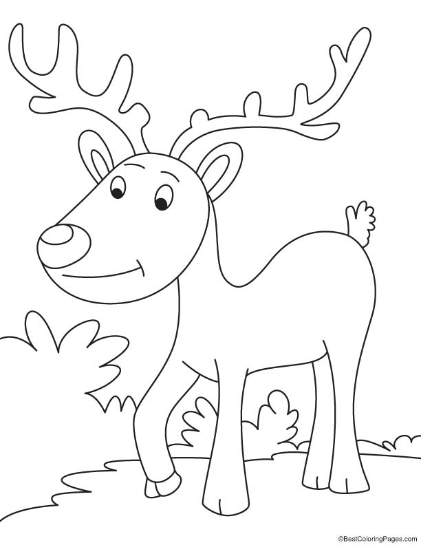 Reindeer on evening walk coloring page