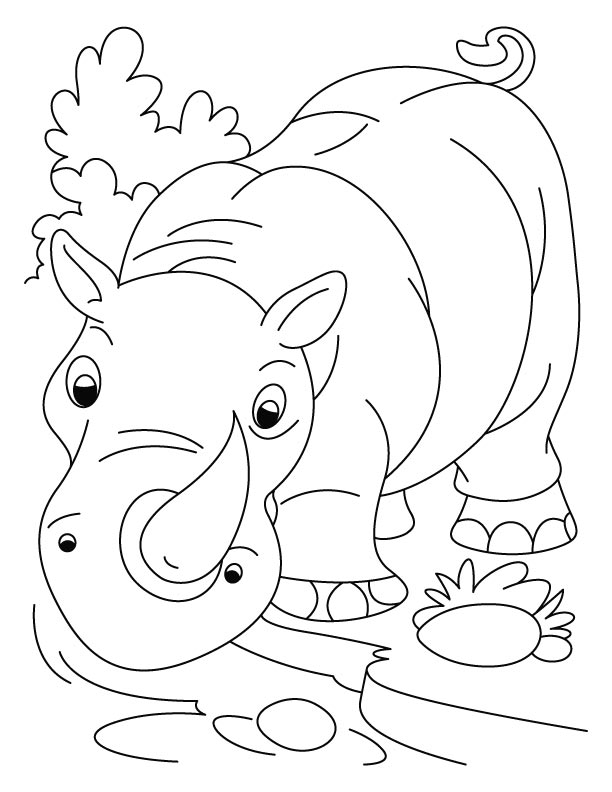 Nose-horned rhinoceros coloring pages