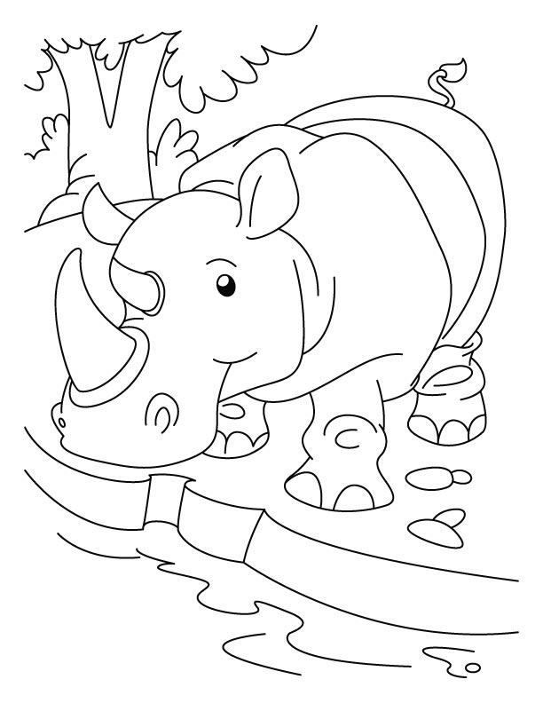 Rhinoceros quenching his thirst coloring pages