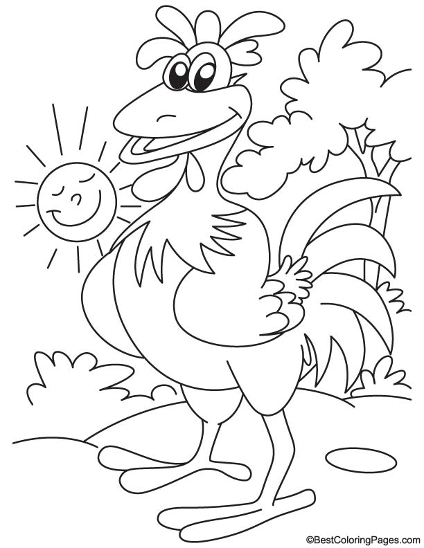 Rooster morning coloring page