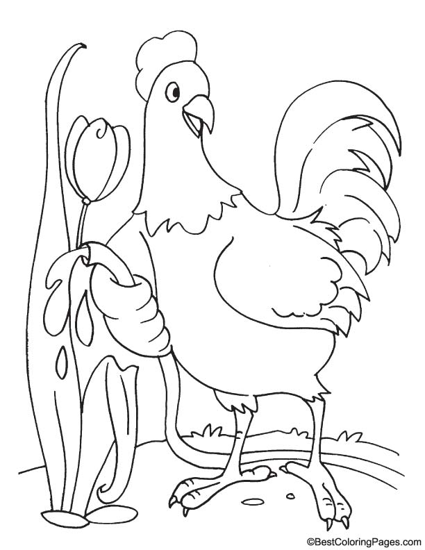 Rooster with tulip coloring page