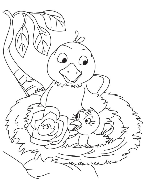 Rose in the bird nest coloring page