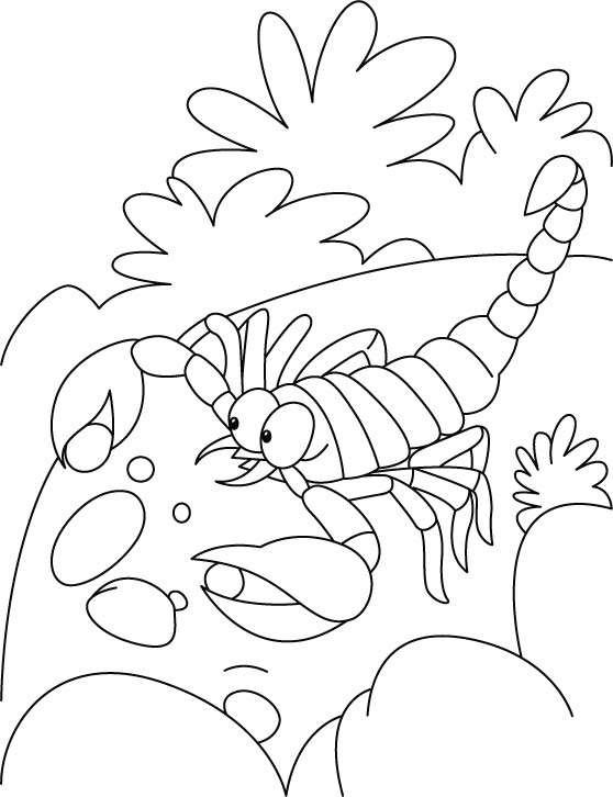 Scorpion- pearl affection coloring pages