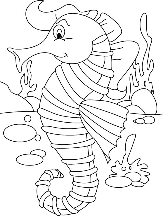 Seahorse ordering-no back biting coloring pages