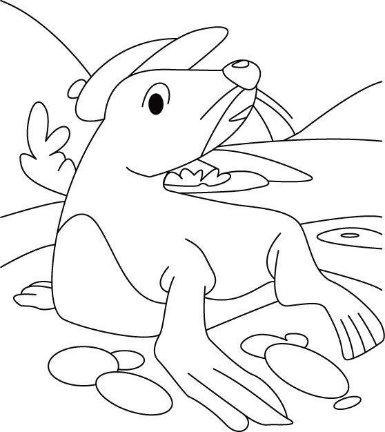 Mr Seal alone thinker coloring pages