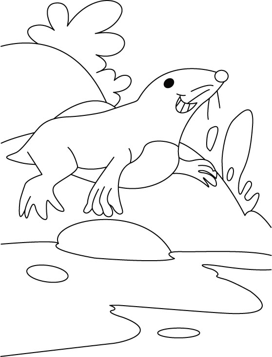 Seal quell thirst coloring pages