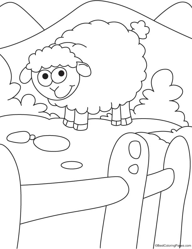 Sheep in mountain coloring page