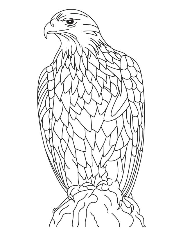 Silent golden eagle coloring page