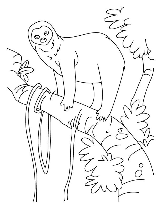 Sloth a slowest animal on Earth coloring pages