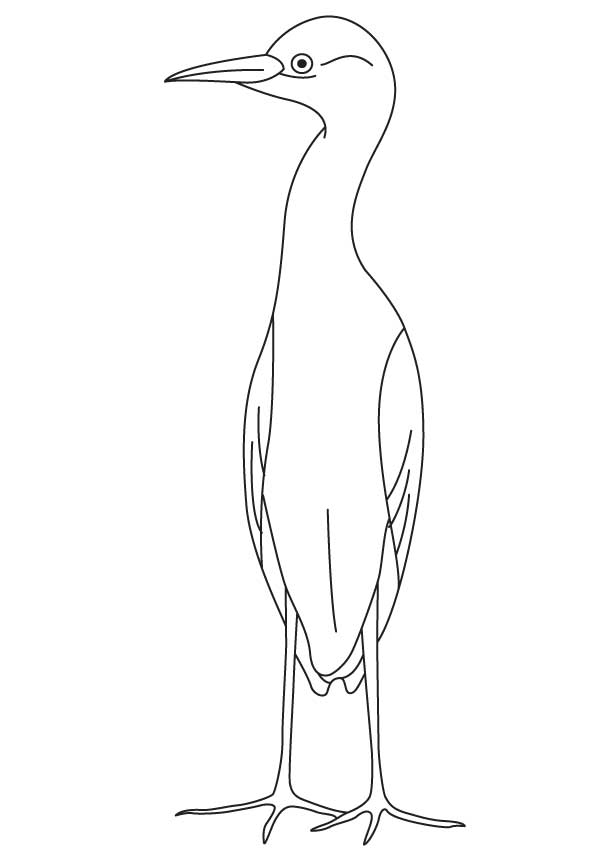 small egret coloring page