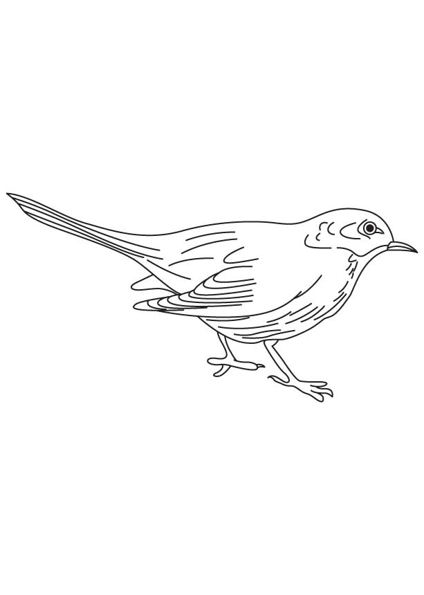 Small blackbird coloring page
