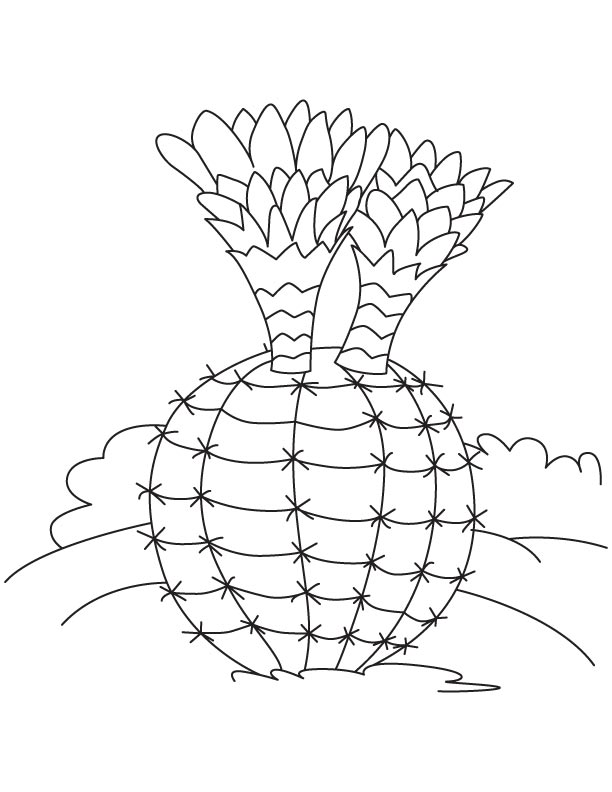 Small cactus plants coloring page
