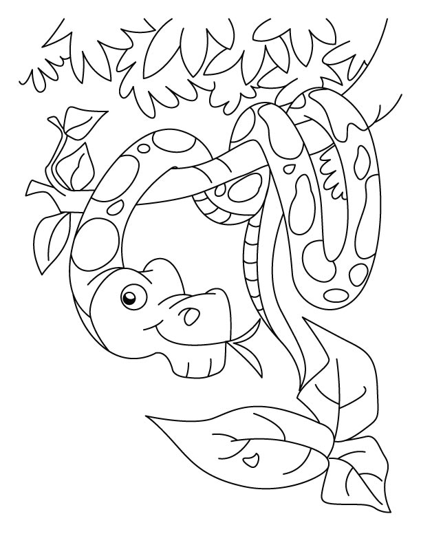 New year snake coloring pages