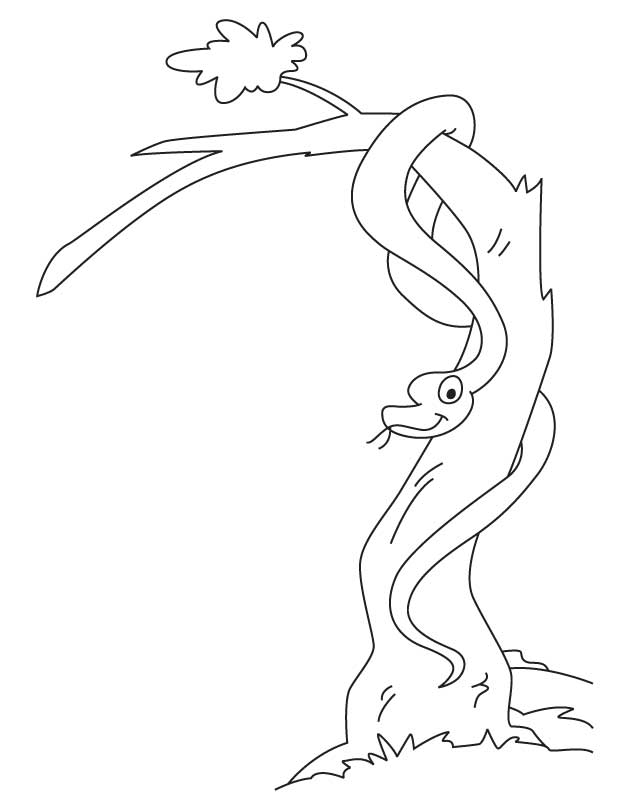 Snake on the tree coloring page