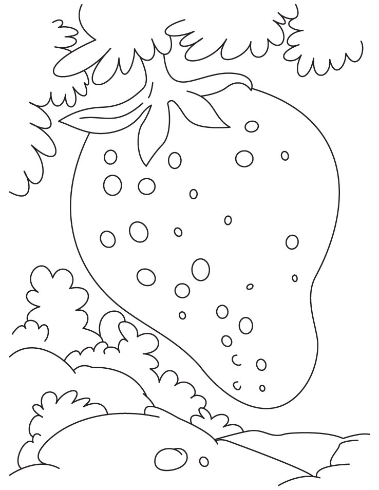 Growing strawberry coloring pages