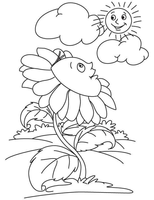 Sunflower looking at sun coloring page