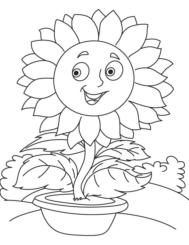 Sunflower pot coloring page