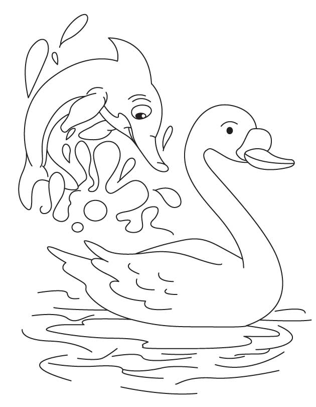 Swan and dolphin coloring page