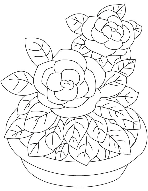 Sweet scent gardenia coloring page