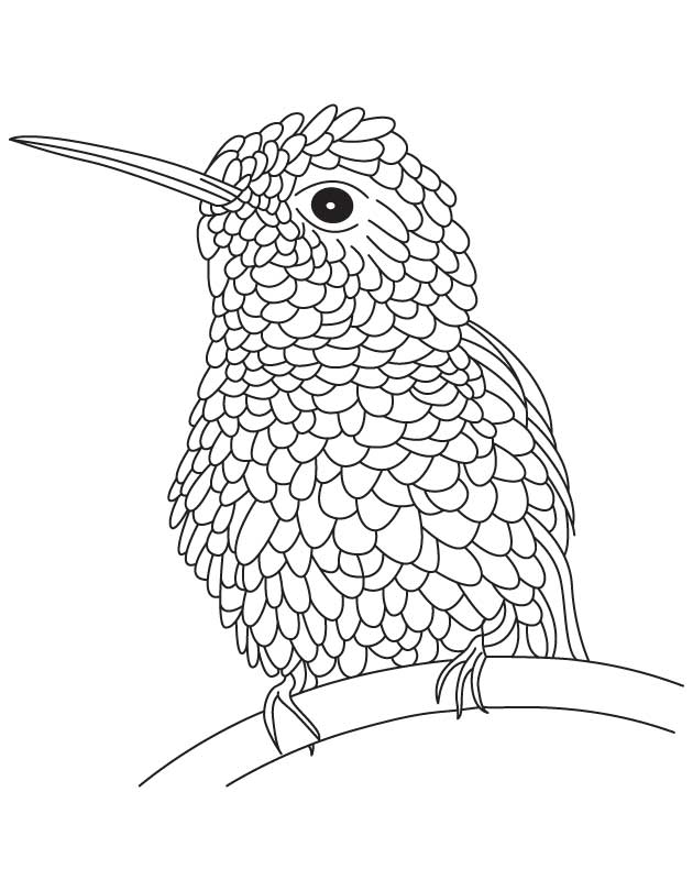 Textured hummingbird coloring page