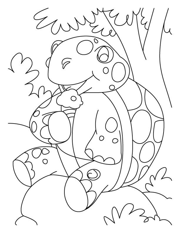 Resting tortoise coloring pages