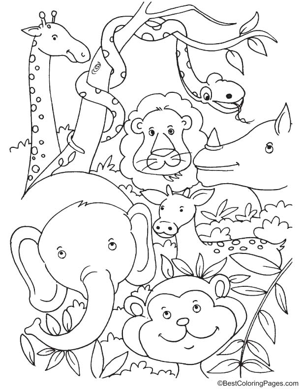 Tropical rainforest animals coloring page
