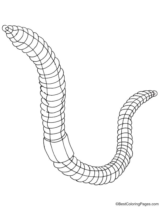 Tube shaped earthworm coloring page