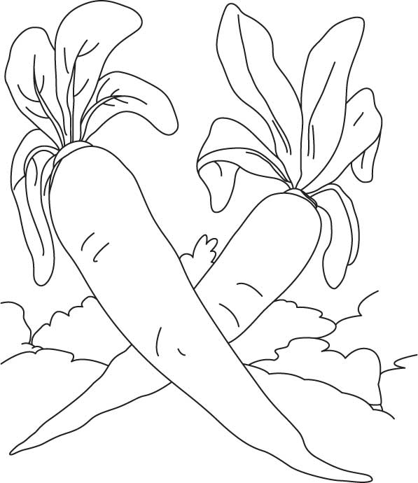 Two white radish coloring page