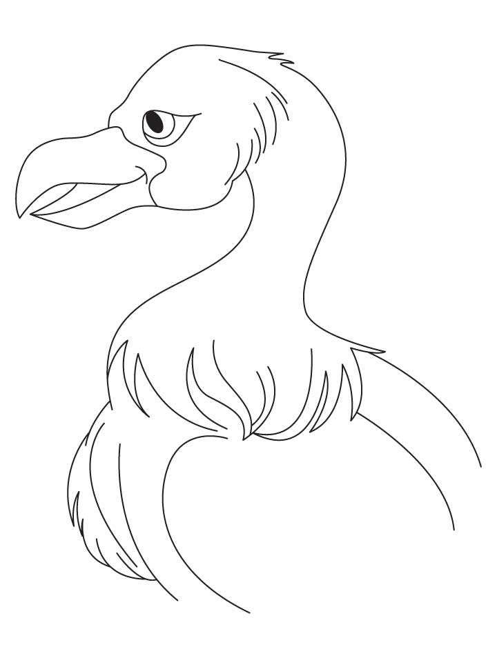 Jatayu vulture coloring pages