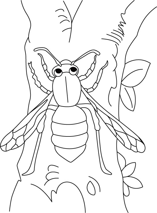 Wasp climbing trunk up coloring pages