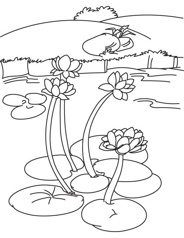 Water lily in lake coloring page