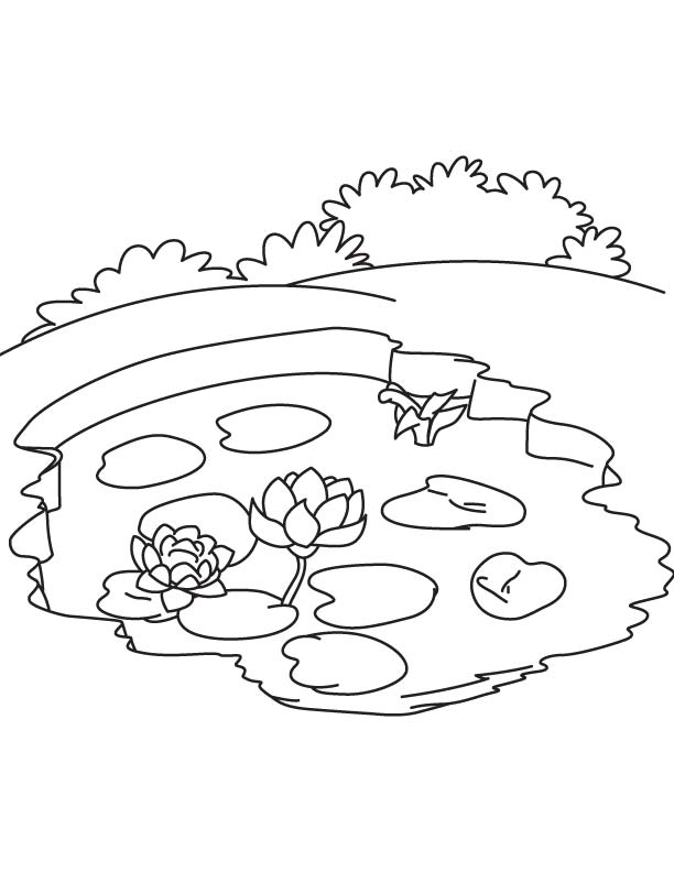 Water lily in pond coloring page