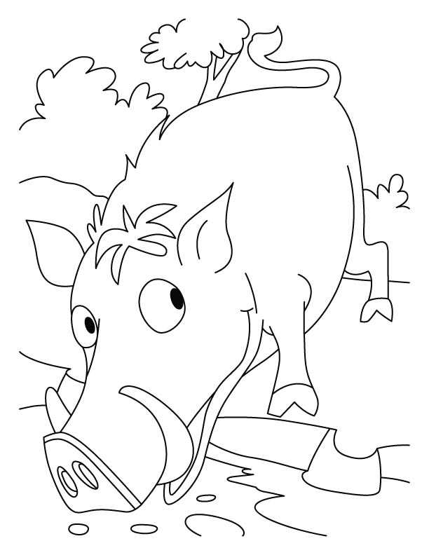 Pig to wild boar coloring pages