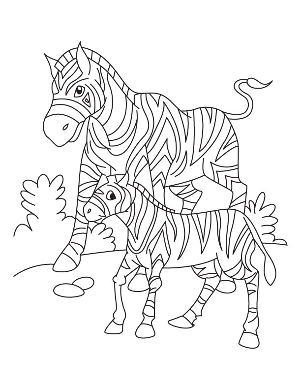 A zebra with her young looking for grass in South Africa coloring page