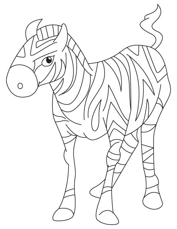Zebra colt coloring page