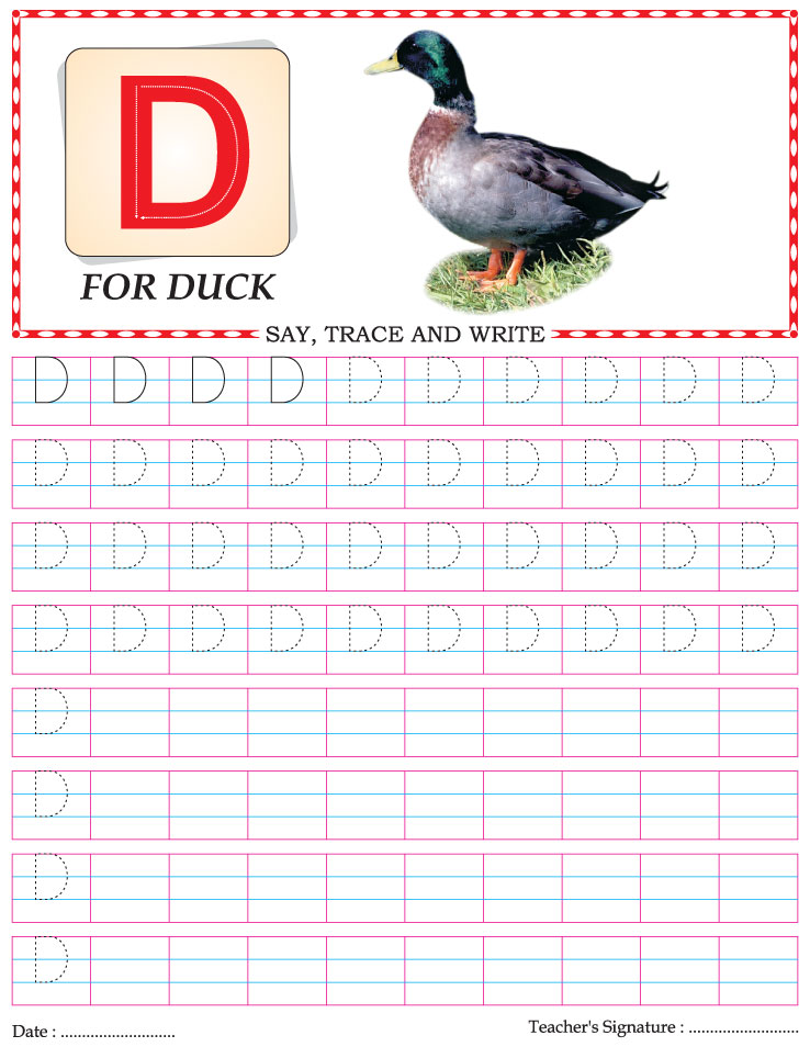 Capital letter writing practice worksheet alphabet D