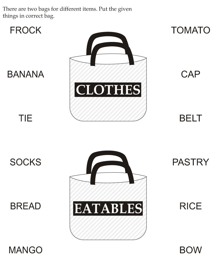 There are two bags for different items, put the given things in correct bag