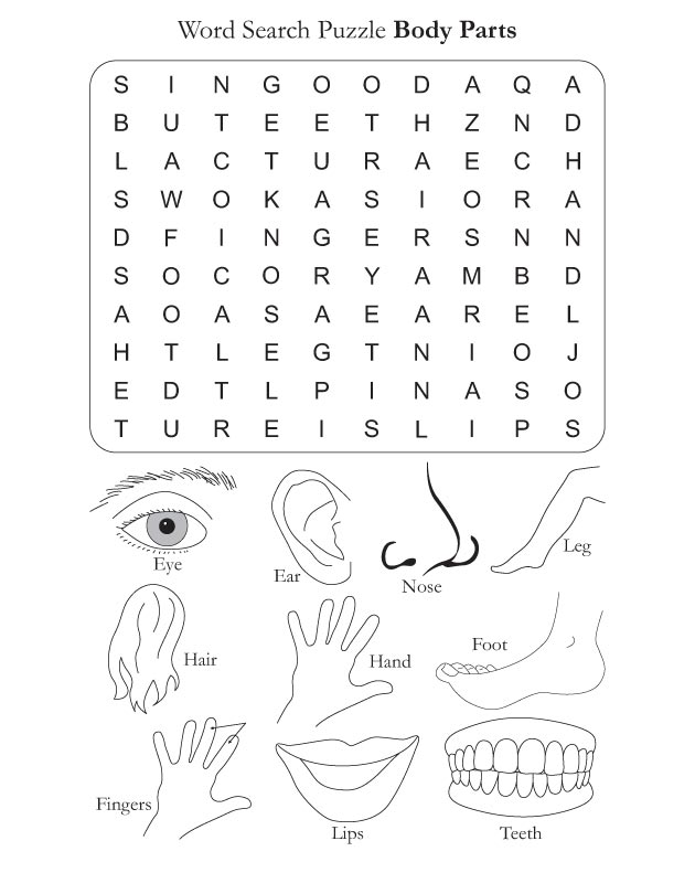 Word Search Puzzle Body Parts