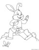 Rabbit Coloring Page
