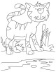 Cats Coloring Page