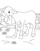 Baby Animals Coloring Page