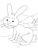 Baby Animals Coloring Page
