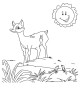 Baby Animals Coloring Page
